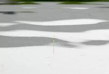 钩饵的重量与浮漂调钓的关系