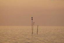 野钓调漂有什么个技巧？4个小妙招