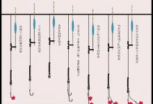 怎么看钓灵还是钓顿？20年老钓友两句话总结