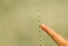 浮漂调灵调钝，影响上鱼率