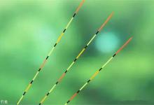 观漂相识鱼，十种常见漂相详解