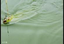 用调四钓二调漂时应注意的几个问题