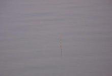 钓鲫鱼时如何调漂观漂的一些方法