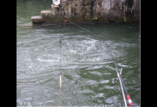 浮漂的高低钓法以及钓目的确定原则，你都知道吗？