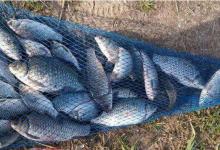 野钓半水调漂如何能更精准