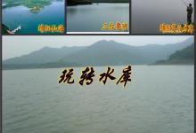 水库钓鱼技巧经验汇总