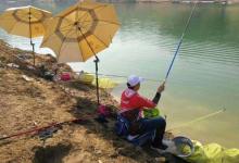 深秋时期，野钓大鲫鱼时需要牢牢记住的一些调漂技巧