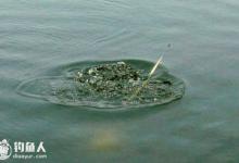 关于浮漂的翻身快慢问题之见解