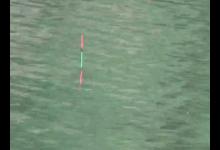 十种钓鱼看漂技巧