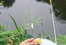 了解单饵调漂标准步骤，据说是最适合野钓的调漂方法