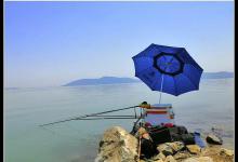 你调钓对了嘛？2个技巧来帮助你判断！