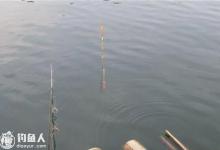 底钓鲫鲤的常见浮漂动作分析