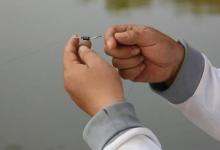 还在争调灵调钝？用这1招找到适合你的灵钝