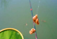 用拉饵钓鱼应该如何调漂？判断双饵到底还是单饵到底