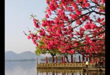 闲谈下野钓调漂的问题