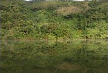 野钓带饵调漂最实用，老钓友野钓带饵调漂技巧