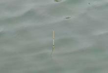 学会这3种基础调漂法，能应对大多数情况