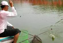 空钩调漂和带饵调漂哪个更准确？