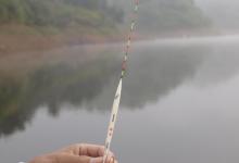 水深鱼大用大标，鱼小鱼稀用小标