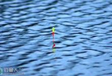 抓住漂相四阶段轻松提高中鱼率