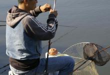 很适合钓友的三个调漂方法，简单好上手