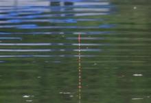 走水钓不到鱼？调漂的错误，这4种方式你用哪一种