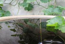 灵钝自由转换最好的调漂方法，带饵调漂调两目