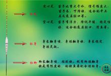 图解浮漂的种类和用途与调漂技巧