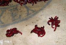 台钓中鱼儿吃饵与调漂的重要问题