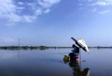 如何精确调漂？相信这是每个钓鱼人都想弄明白的事