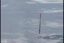 浮漂信号要怎么去解读？6个技巧帮你