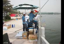 调灵还是调顿？看老钓鱼人分享台钓调漂原则