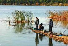 钓鱼选漂调漂记住这三方面就足够了