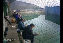 冬季大棚黑坑拉红虫钓大鲫鱼的调漂技巧