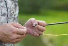 天冷鱼口轻，如何让浮漂动作更大？调漂很关键