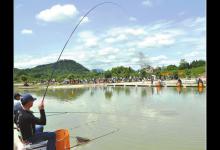 台钓调漂中调四钓二与调五钓五的妙用