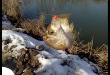 野钓调几钓几最好？介绍一种简单实用的调漂方法