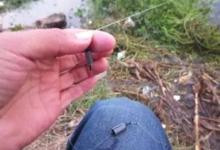 秋钓大鱼利器，双铅线组的搭配和调漂技巧