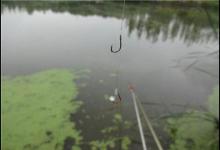 钓鱼人必须要知道空钩、无口及有关浮标的语言