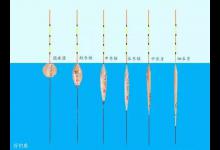 台钓调漂的浮钓原理