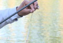 关于钓鱼调漂研究的几点疑问与看法