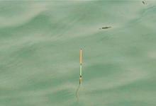 调四钓二的误区及一些调漂小建议