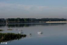 调漂要根据实际鱼情的变化来调整