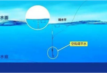 台钓调平水调漂的关键点你确定都学会了？
