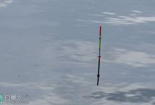 不同鱼种吃食时的浮漂动作与规律介绍