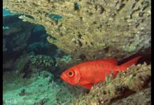 钓鱼调漂找底没有那么难