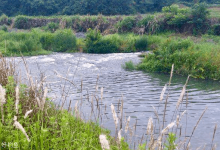 野钓走水不用慌，记住这四个方法