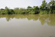 鱼口变差，应该及时调整作钓技巧