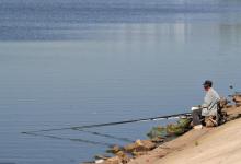 为什么漂不停动，但是鱼儿不中钩？