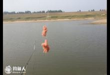 用饵调钓法与漂象的分析